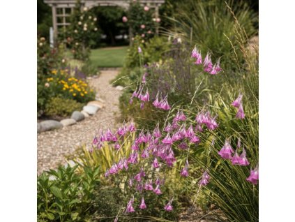 garden vision 1769508998950