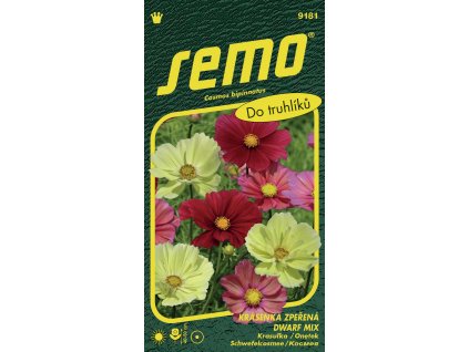 krasenka zperena dwarf mix 40s