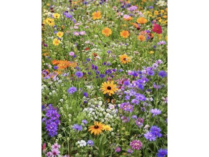 DC8E9CAB 8B4A 4DA1 906B D35F7C5094E3