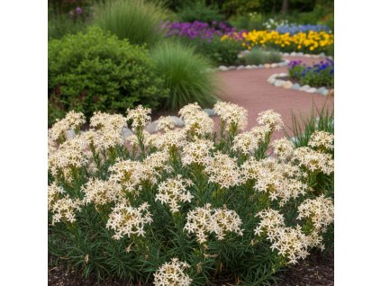 garden canvas 30162abf 3146 41d7 955d d81c44e74aa2