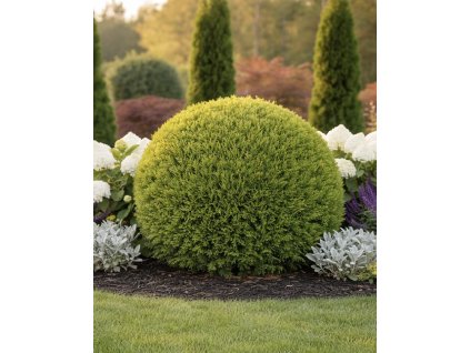 20D04E04 FC02 4F68 A086 B17256191023