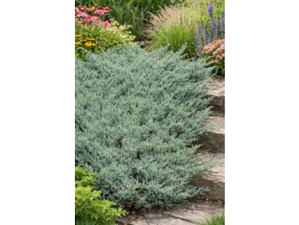 ChatGPT Image 29. 1. 2026 07 19 57