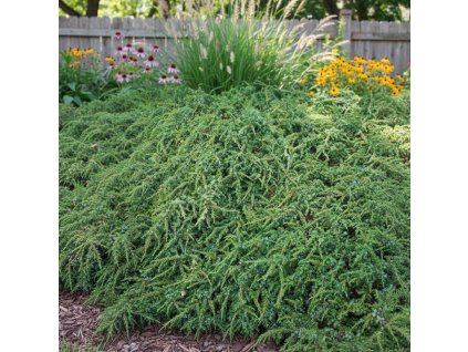 garden ai 1769607608653