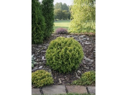 BE4D8D74 E5E9 40D8 824C 1BC44C10751F