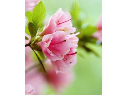 iStock 108273829 modified e3f920f9 4f80 4203 ad7a cb0d4191d40f