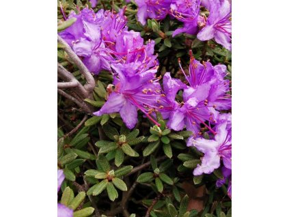 iStock 1320467823 modified 76017b11 20bd 4bb5 8eee db32f3ae1328