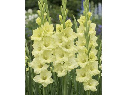 0FCFA82E CC1E 476D B2A0 8BF424526356