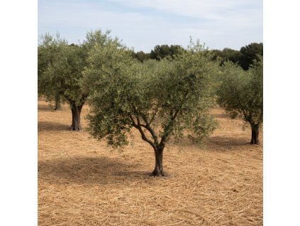 d4f0862c f482 4fc0 ad1b 122edc632969