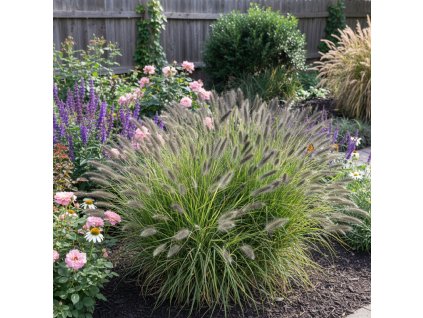 garden vision 1769510724786