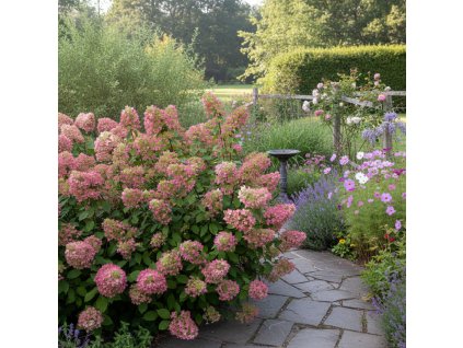 garden 1769595625881