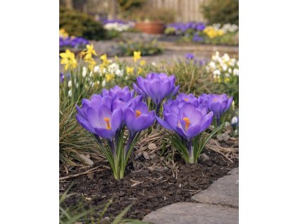 E27D8AE8 4CB5 4DF9 BEA1 BA58360D73C6