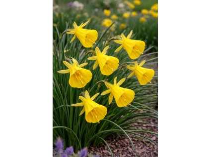 8d8c81e2 26b5 421e 813b d8428aac7702