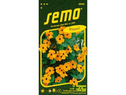 94c83f4f 3f83 4bc6 b70f 71572018ae25