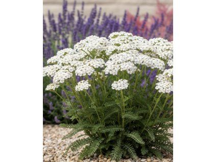 garden design 49