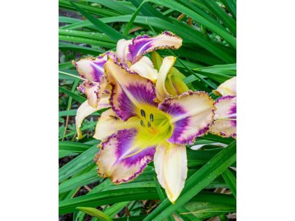 iStock 827372562 modified 9a4f4667 e3f6 4a2e 91ac f34737052277