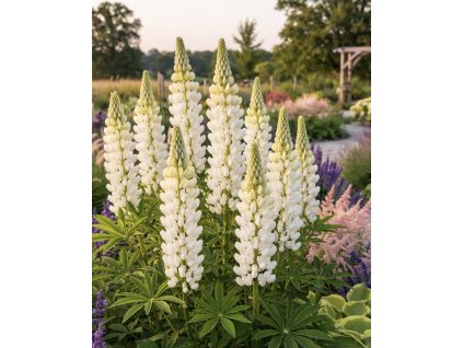 194C9555 A841 4E14 A7BE FE64F5C024F0