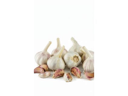 Generated Image October 06, 2025 1 29PM