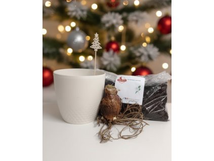 Generated Image November 28, 2025 12 30PM