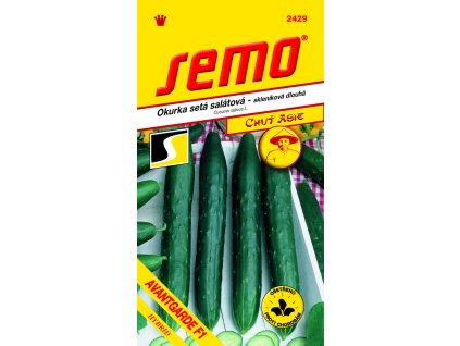 okurka sklen avantgarde f1 10s serie asie