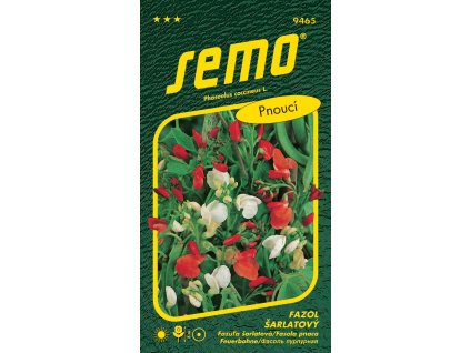 fazol sarlatovy pnouci cervenobily 9s