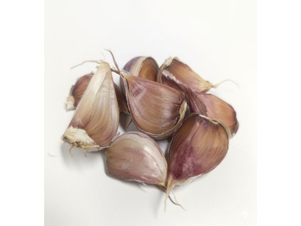 Generated Image October 02, 2025 12 37PM