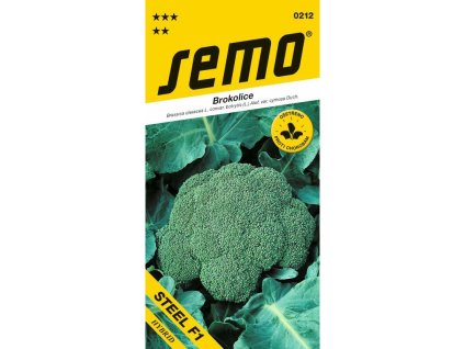 fellow f1 brokolice