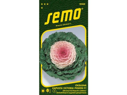 9082 okrasna kapusta victoria pigeon f1 rs