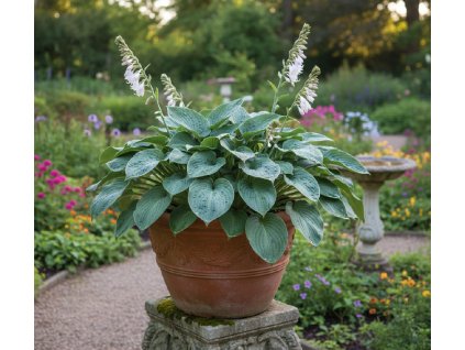 white bg result (92)