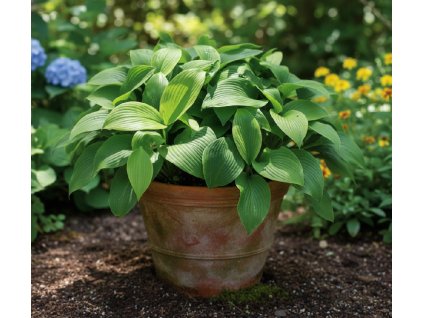 white bg result 2026 01 09T143752.216