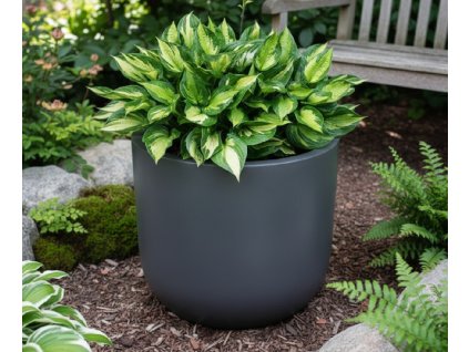 white bg result 2026 01 09T144847.927