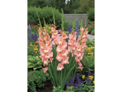 white bg result 2026 01 13T083523.343