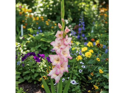 white bg result 2026 01 13T084724.279