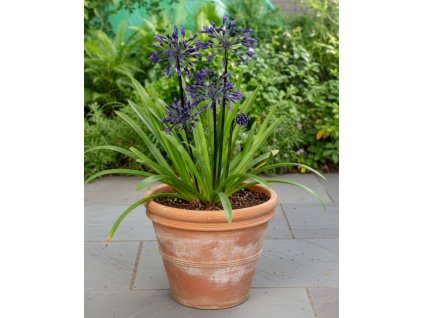 white bg result 2026 01 14T073251.196