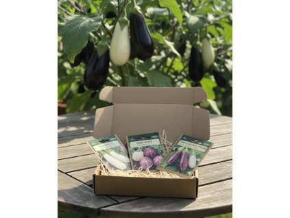 white bg result 2026 01 15T082756.401