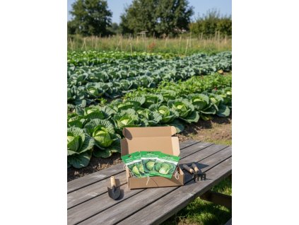 white bg result 2026 01 15T124715.248