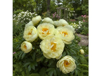 white bg result (17)