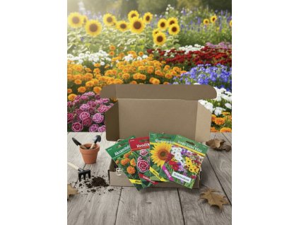 upravena krabicka (2)