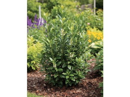 white bg result (15)