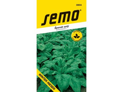 spenat winterriesen 2g