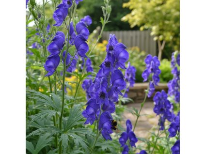 garden background 1769520861463