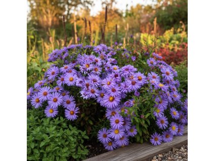 garden canvas f5ca5677 ca7e 4ee3 94e0 6c5e75d66658