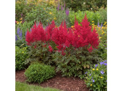 garden canvas 05b10cf3 0ba9 4629 a7a4 22d51597f881