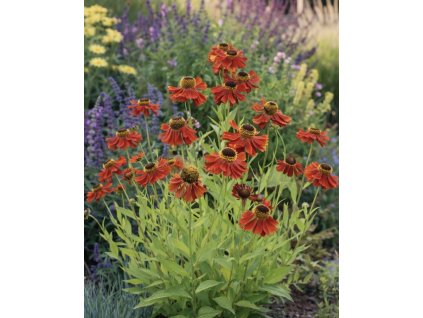 28AB426F 544C 4A17 9D92 D3D3A2028D95