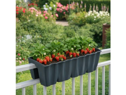 zahrada 1770124276279