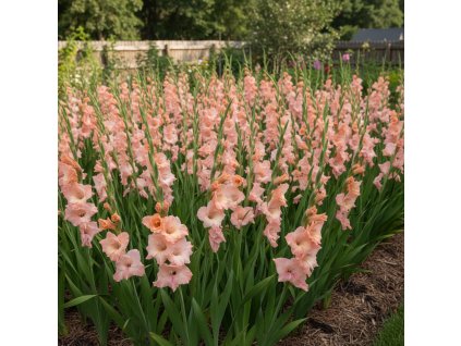 garden ai 1770383578840