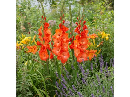 garden ai 1770384121180