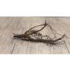 Orlíček 'Double Red' 3 ks