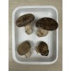 16857 3 shiitake houzevnatec jedly 80 g