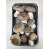 16899 3 shiitake houzevnatec jedly 200 g
