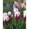 garden design 6